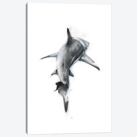 Shark III Canvas Print #AMU28} by Alexis Marcou Canvas Art Print