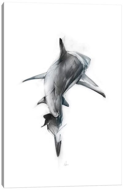 Shark III Canvas Art Print - Great White Shark Art