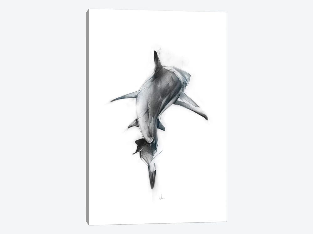 Shark III by Alexis Marcou 1-piece Canvas Artwork