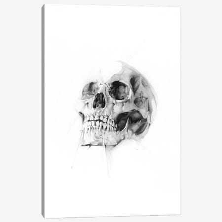 Skull LII Canvas Print #AMU29} by Alexis Marcou Canvas Print