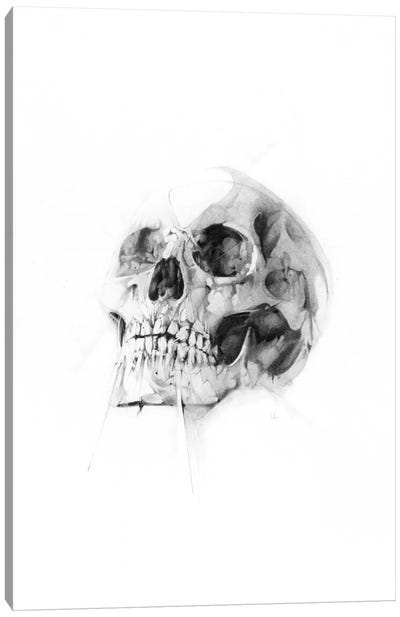 Skull LII Canvas Art Print - Naked Bones