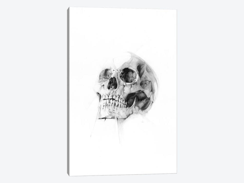 Skull LII by Alexis Marcou 1-piece Canvas Print