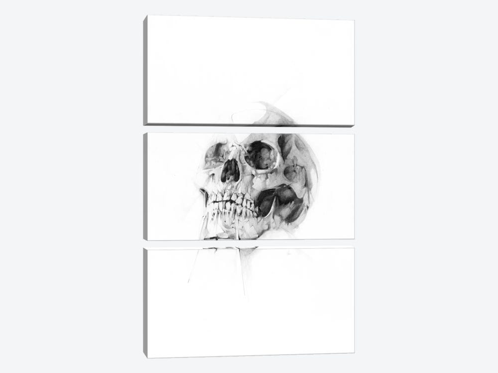 Skull LII by Alexis Marcou 3-piece Canvas Art Print