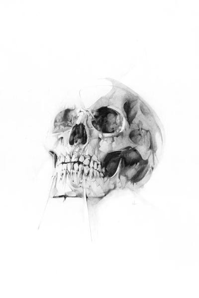 Alexis Marcou: Skull LII by Alexis Marcou