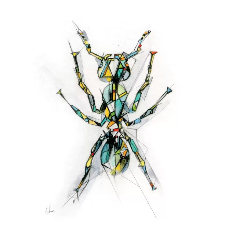 Ant by Alexis Marcou wall art