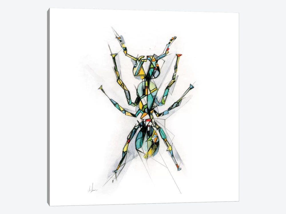 Ant by Alexis Marcou 1-piece Canvas Art Print