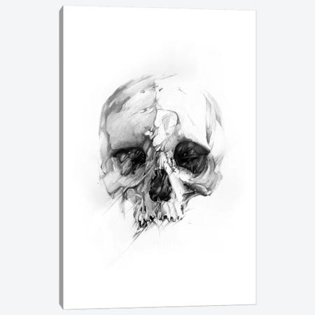 Skull XLVI Canvas Print #AMU30} by Alexis Marcou Canvas Wall Art