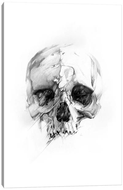 Skull XLVI Canvas Art Print - Naked Bones