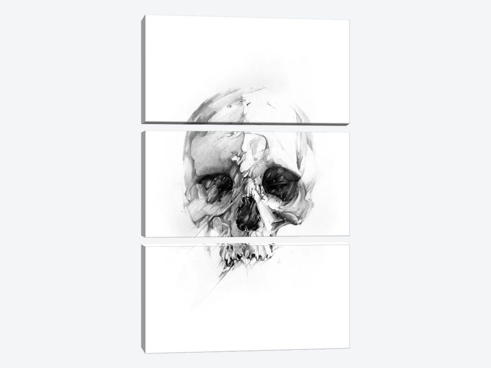 Skull XLVI by Alexis Marcou 3-piece Art Print