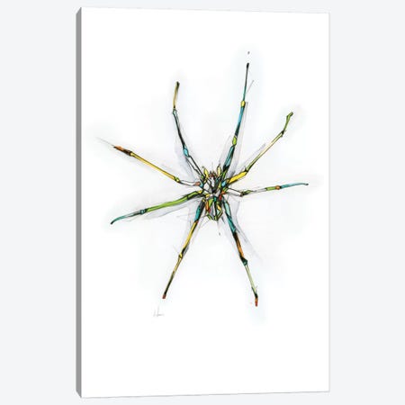 Spider Canvas Print #AMU32} by Alexis Marcou Canvas Wall Art