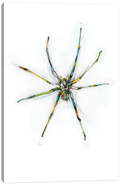 Spider Canvas Art Print - Bestiary