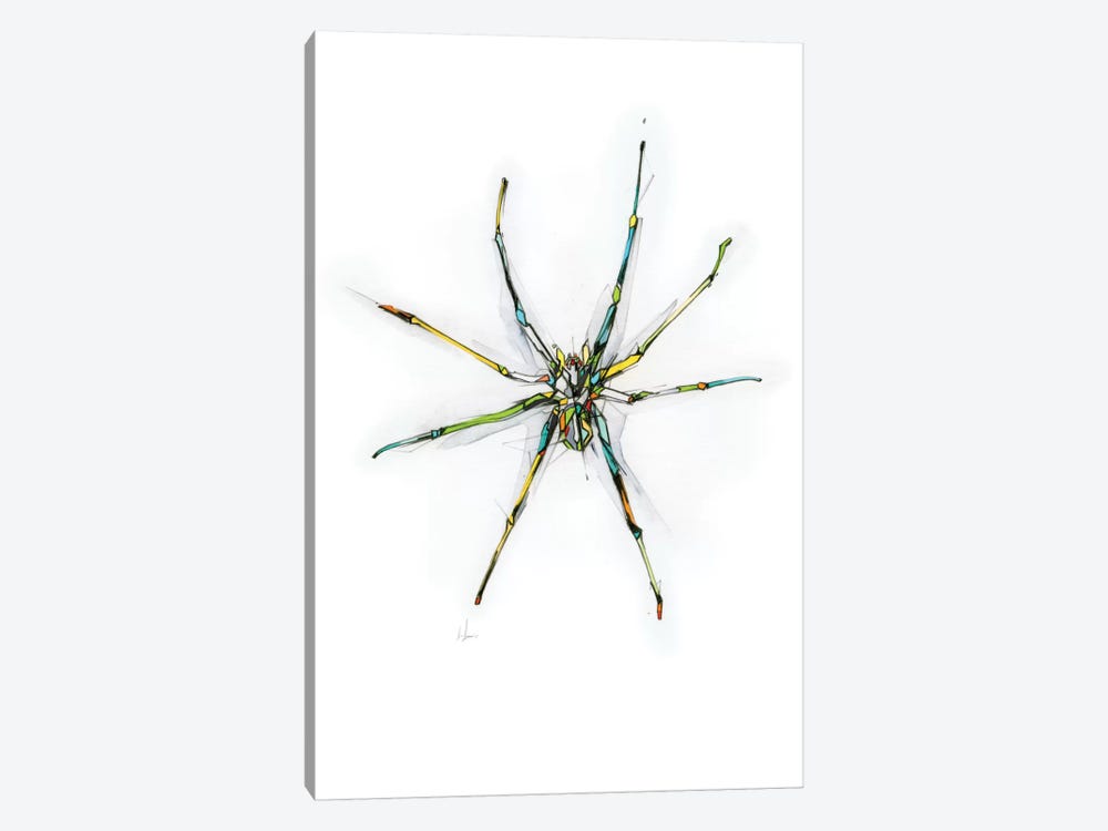 Spider by Alexis Marcou 1-piece Canvas Art Print