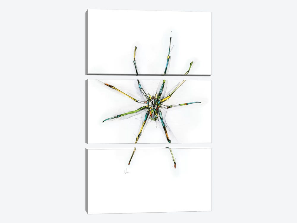 Spider by Alexis Marcou 3-piece Canvas Print