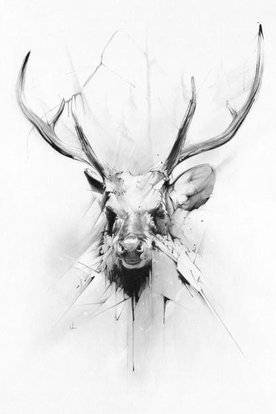 Deer: Stag by Alexis Marcou