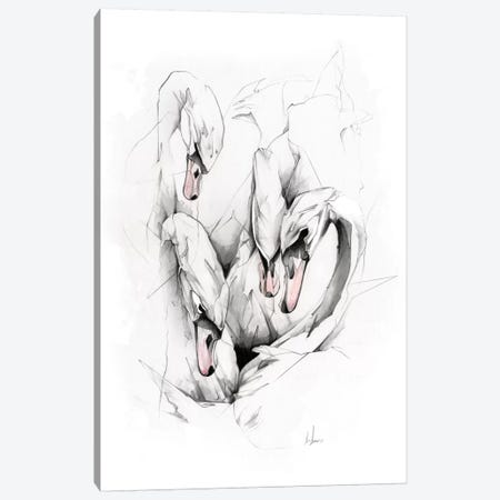 Swans Canvas Print #AMU36} by Alexis Marcou Art Print