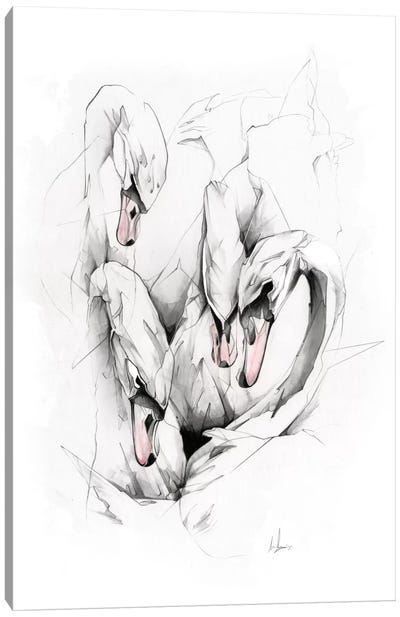 Swans Canvas Art Print - Dusty Pink