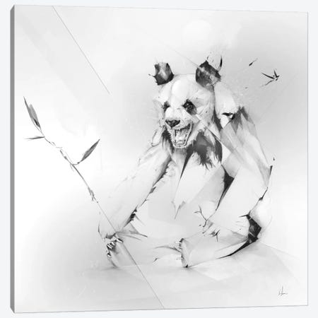Bad Panda Canvas Print #AMU3} by Alexis Marcou Art Print