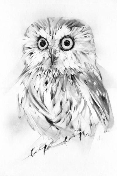 Wise by Alexis Marcou framed canvas print