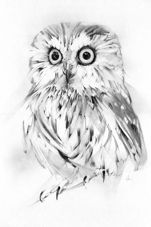 Wise by Alexis Marcou wall art