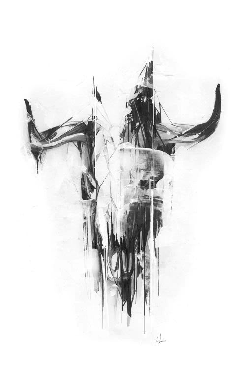 Bull Skull