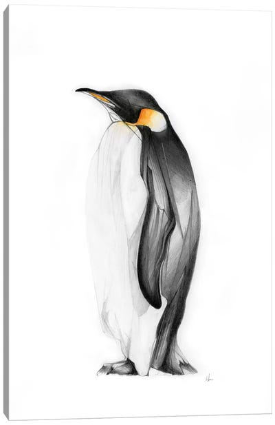 Emperor Canvas Art Print - Penguin Art