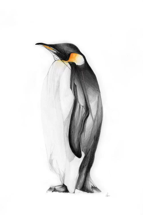 Emperor by Alexis Marcou wall art