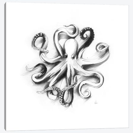 Flat Octopus Canvas Print #AMU45} by Alexis Marcou Canvas Art