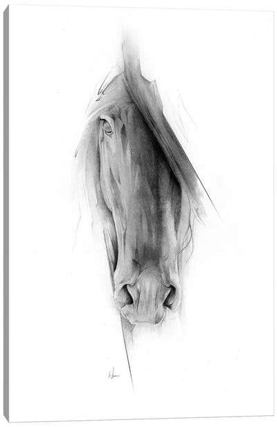 Horse 2023 Canvas Art Print - Hand Drawings & Sketches