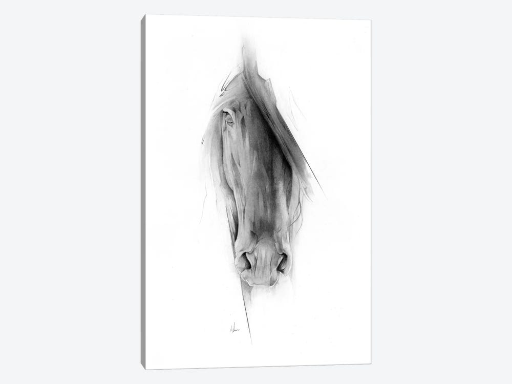 Horse 2023 by Alexis Marcou 1-piece Canvas Wall Art