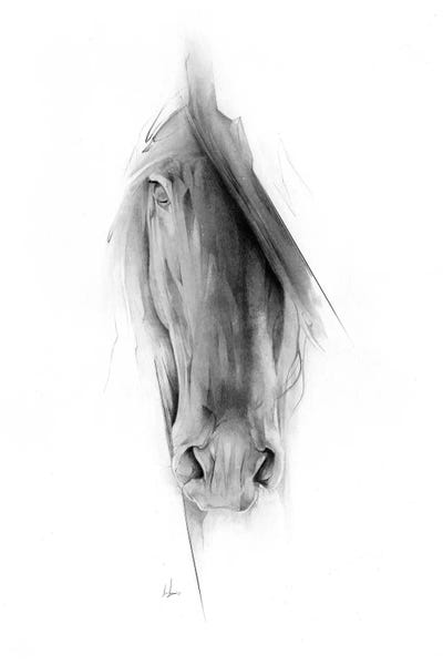 Minimalist Décor: Horse 2023 by Alexis Marcou