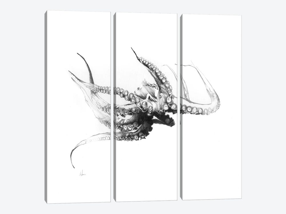 Octopus Rubescens by Alexis Marcou 3-piece Canvas Art Print