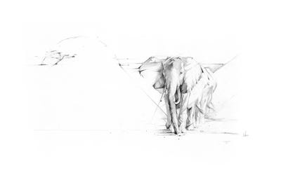 Elephant Parade by Alexis Marcou canvas print