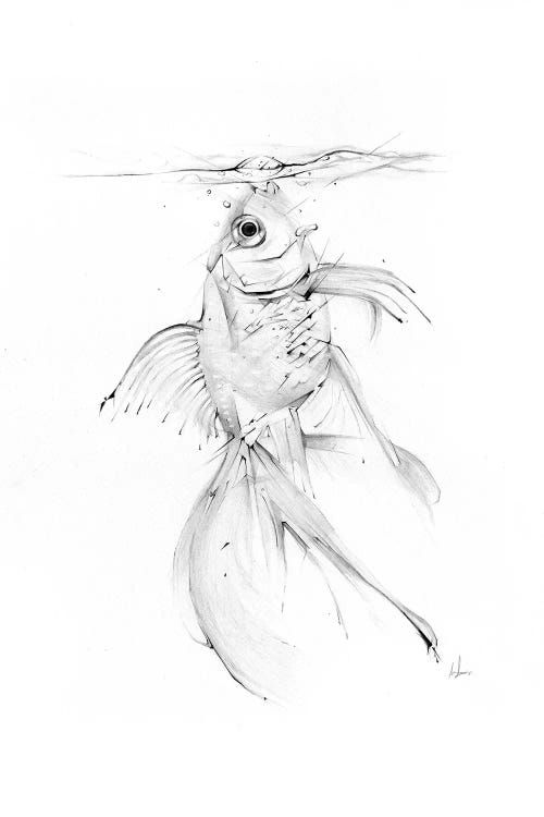 Fish Feast by Alexis Marcou wall art