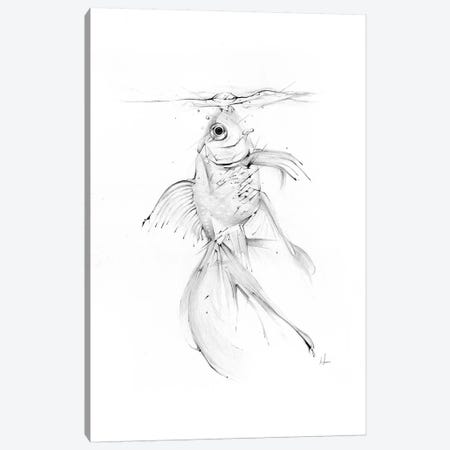 Fish Feast Canvas Print #AMU57} by Alexis Marcou Canvas Print