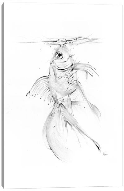 Fish Feast Canvas Art Print