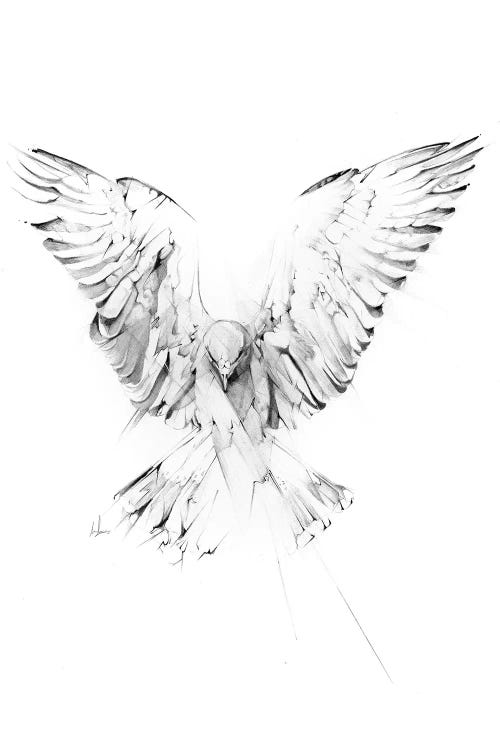 Phoenix by Alexis Marcou wall art