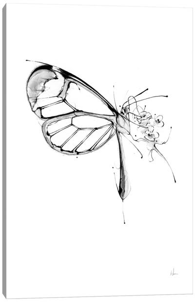 Butterfly Fuel Canvas Art Print - Alexis Marcou