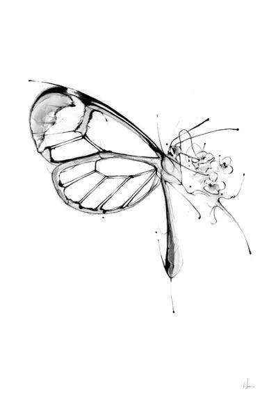 Black & White Drawings & Illustrations: Butterfly Fuel by Alexis Marcou