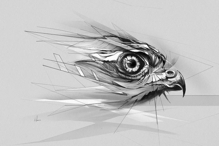 Hawk Eye by Alexis Marcou wall art