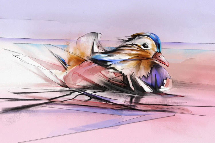 Wild Duck by Alexis Marcou wall art