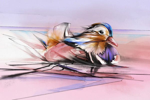 Wild Duck