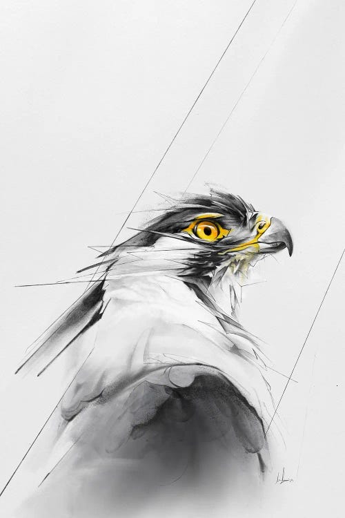Eagle In The Wild by Alexis Marcou wall art