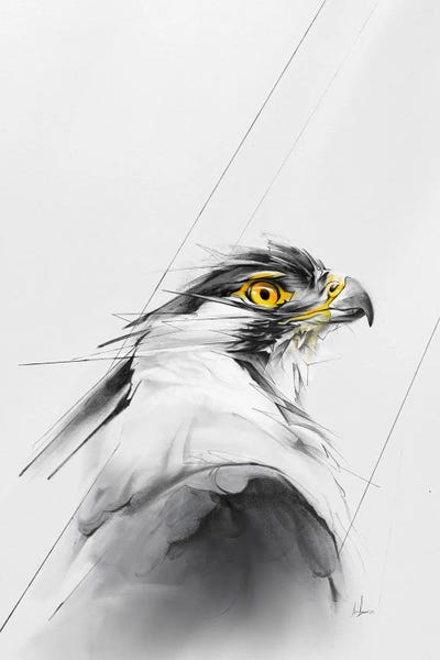 Eyes: Eagle In The Wild by Alexis Marcou