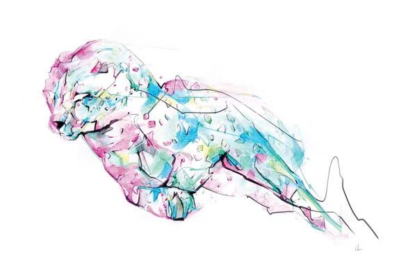 Cheetahs: Chetah by Alexis Marcou