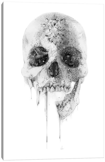 Crystal Skull Canvas Art Print - Minimalist Wall Art