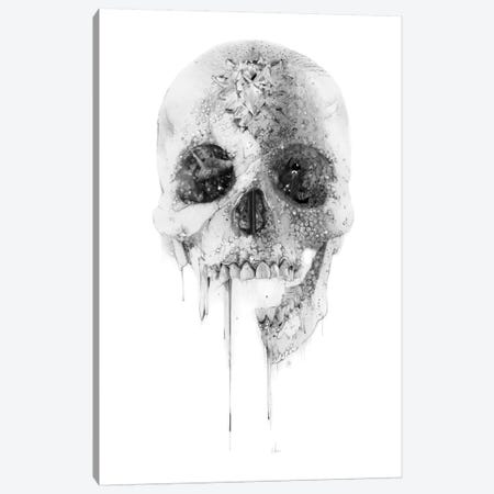 Crystal Skull Canvas Print #AMU9} by Alexis Marcou Canvas Art Print