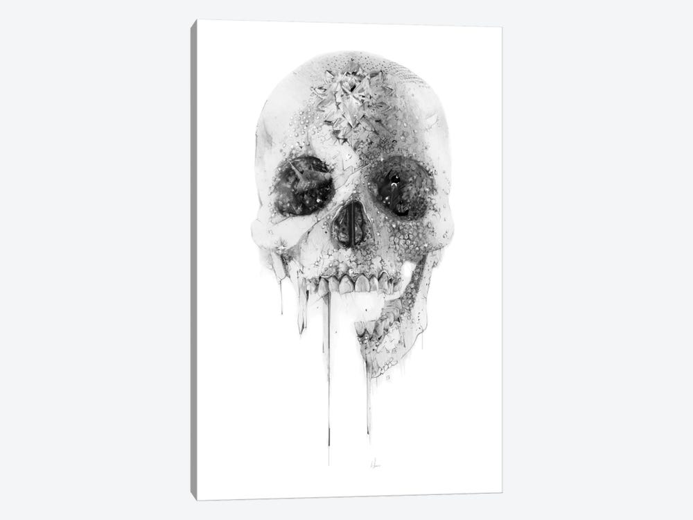 Crystal Skull by Alexis Marcou 1-piece Canvas Wall Art