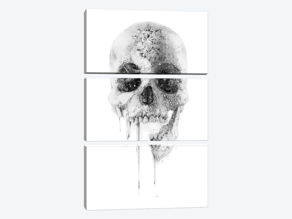 Crystal Skull by Alexis Marcou 3-piece Canvas Artwork