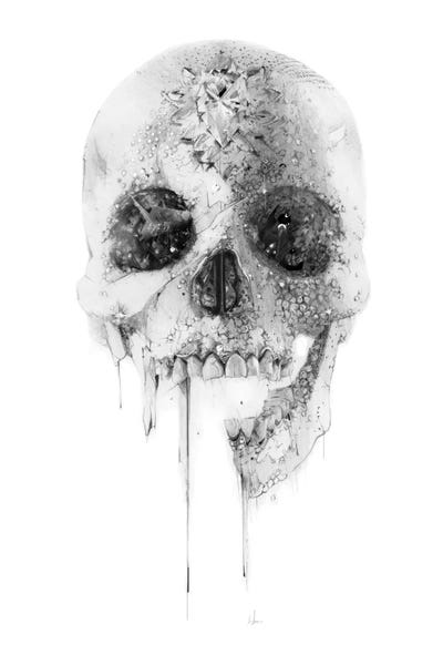 Alternative Décor: Crystal Skull by Alexis Marcou