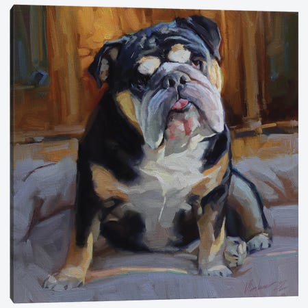 English Bulldog Painting Canvas Print #AMV101} by Alex Movchun Art Print